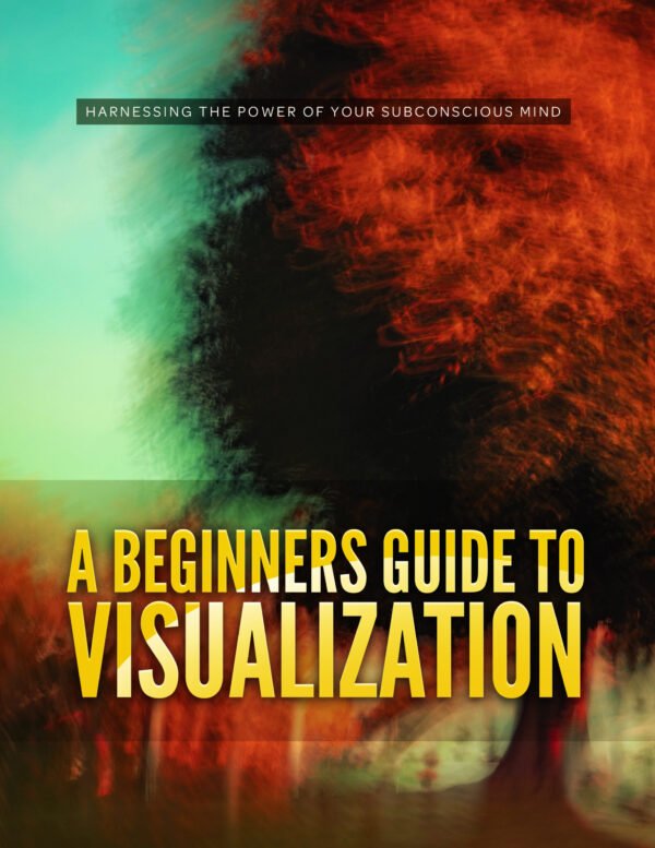 A Beginners Guide To Visualization - eBook