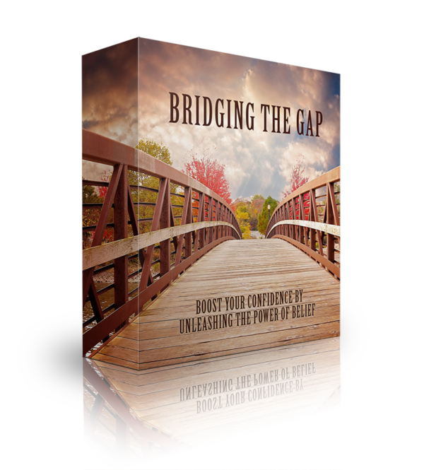 Bridging The Gap - eBook